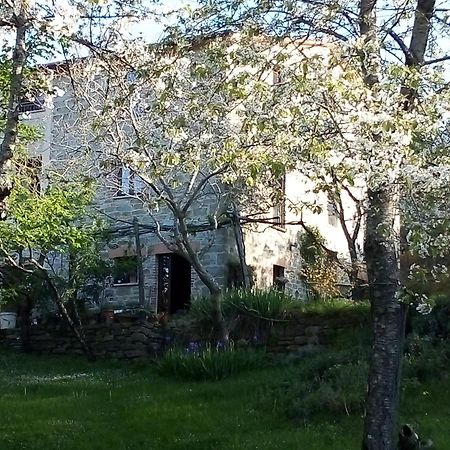 La Fonte B&B Pietralunga  Exteriér fotografie