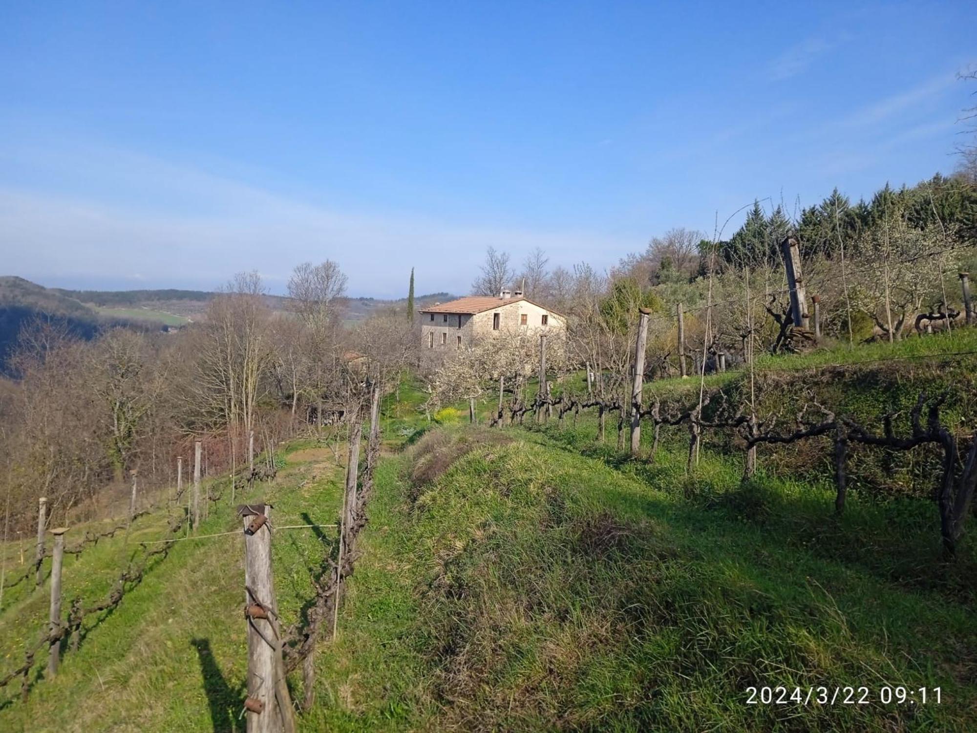 La Fonte B&B Pietralunga  Exteriér fotografie