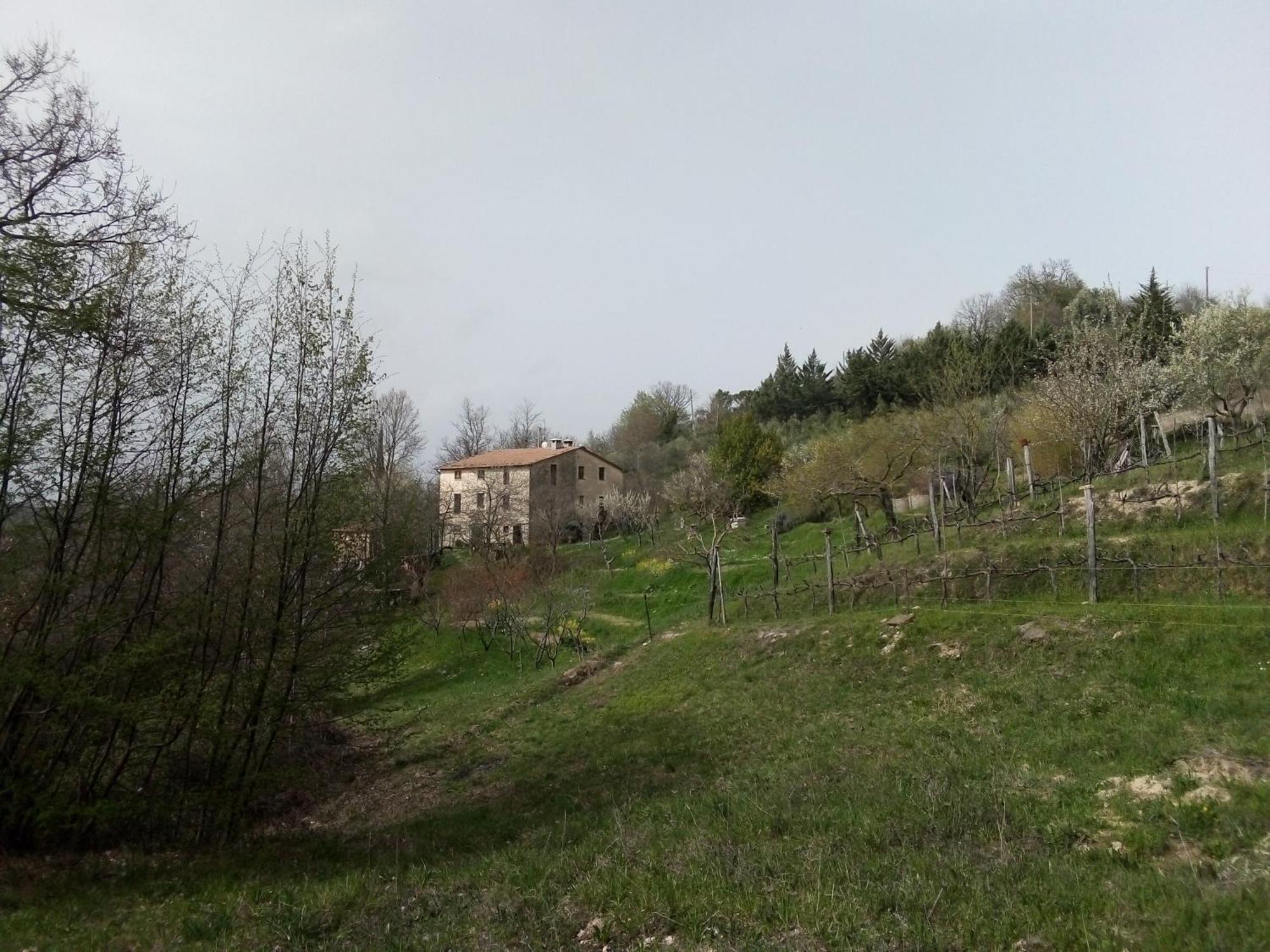 La Fonte B&B Pietralunga  Exteriér fotografie