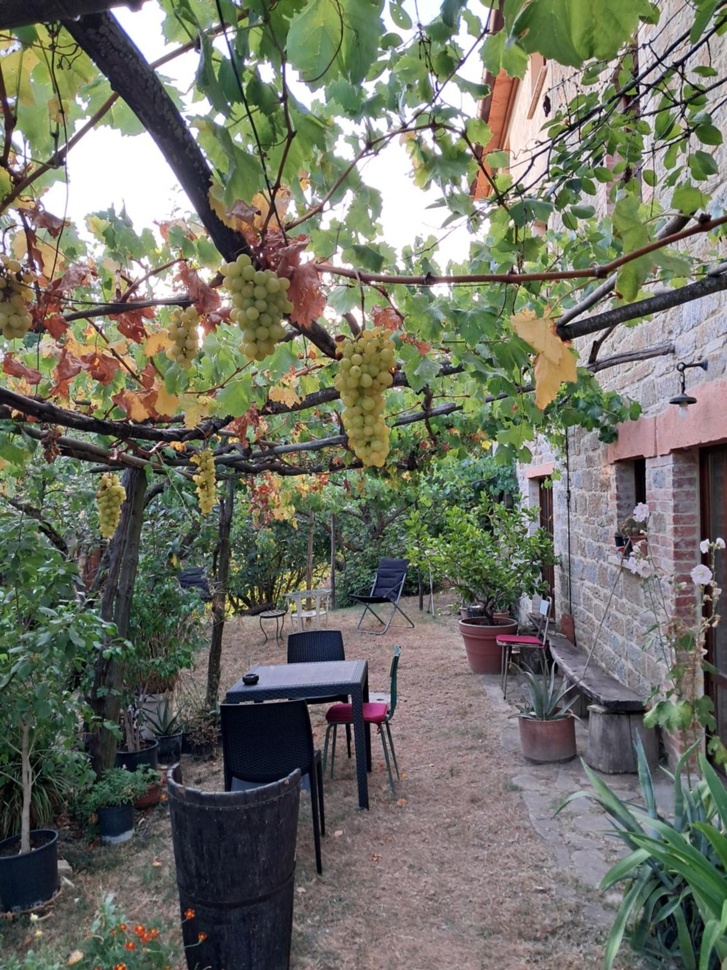 La Fonte B&B Pietralunga  Exteriér fotografie