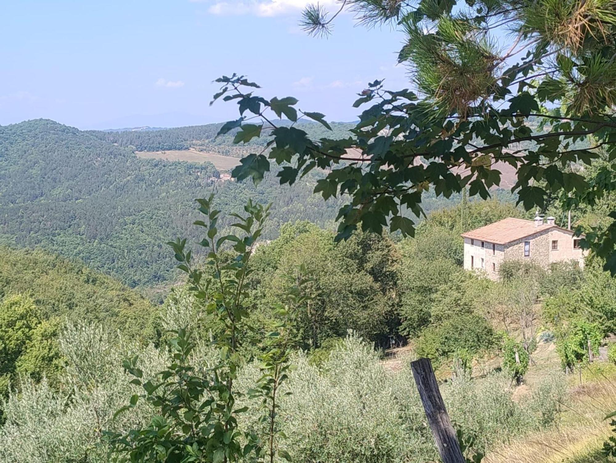 La Fonte B&B Pietralunga  Exteriér fotografie