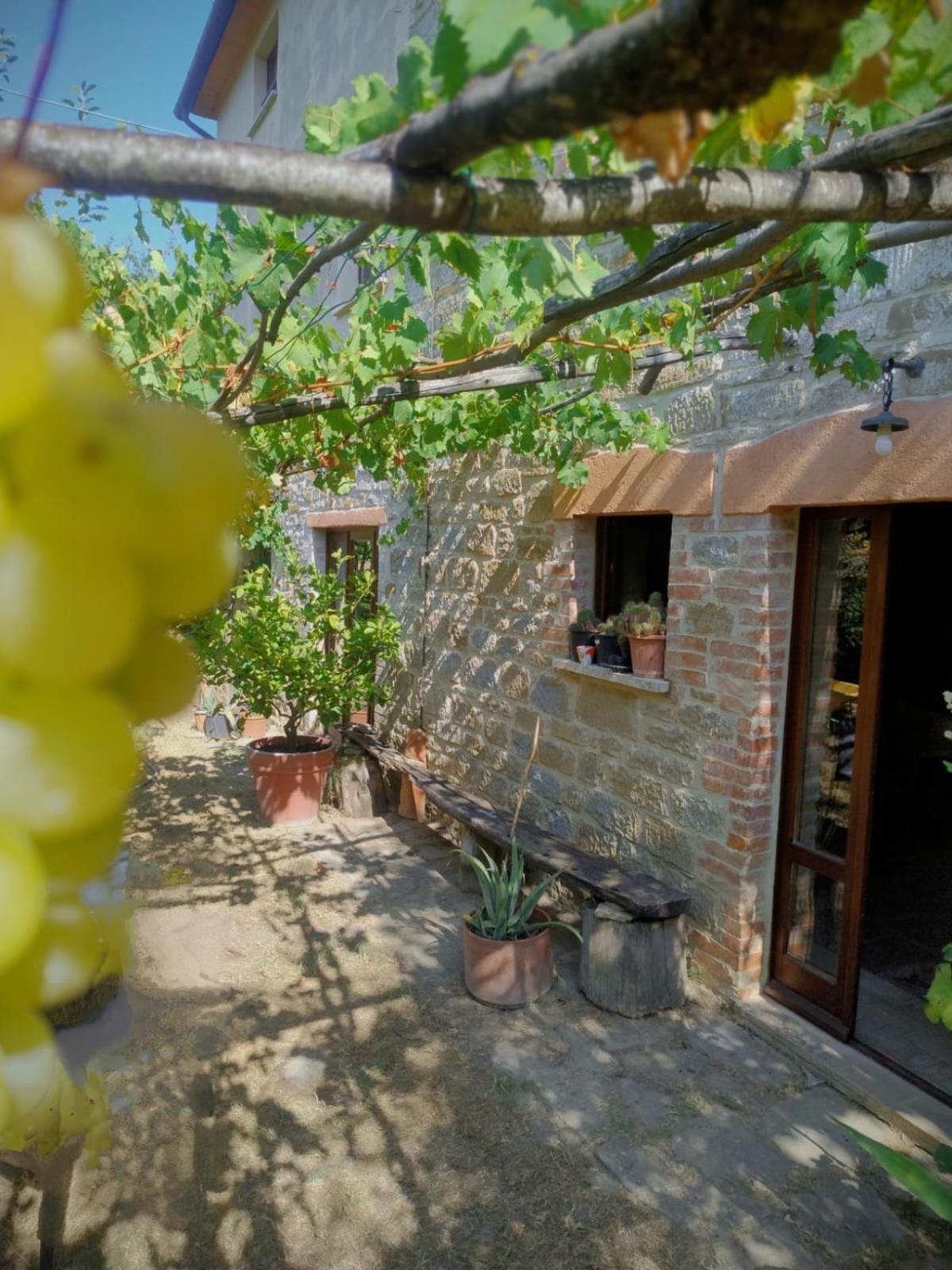 La Fonte B&B Pietralunga  Exteriér fotografie