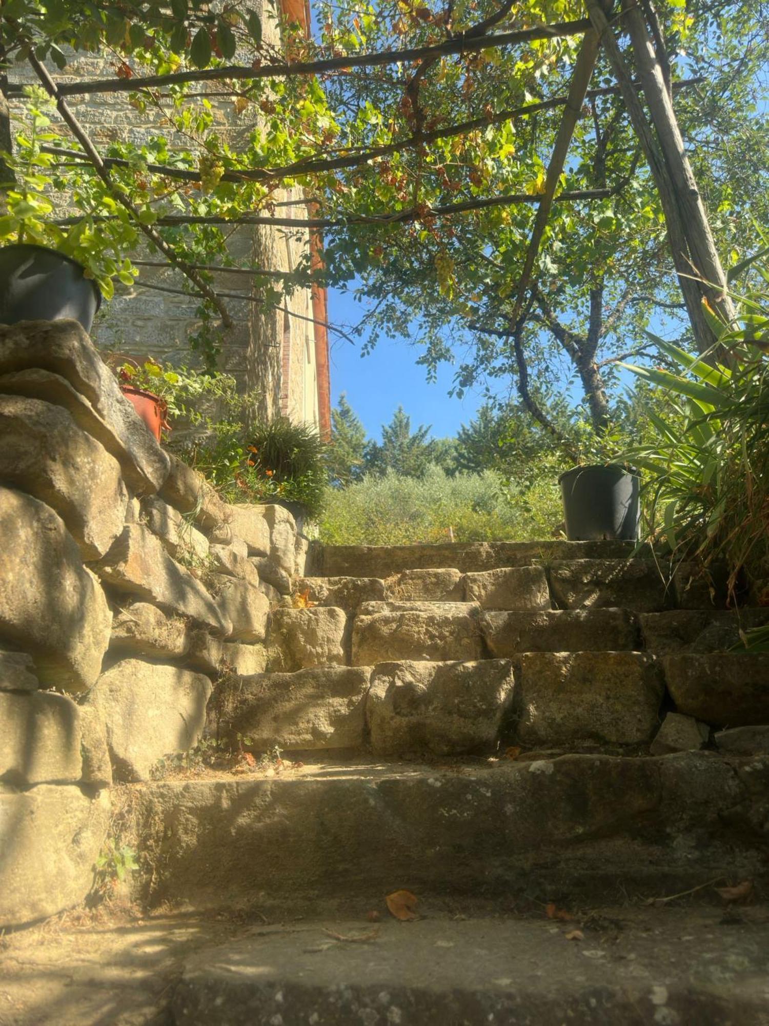 La Fonte B&B Pietralunga  Exteriér fotografie