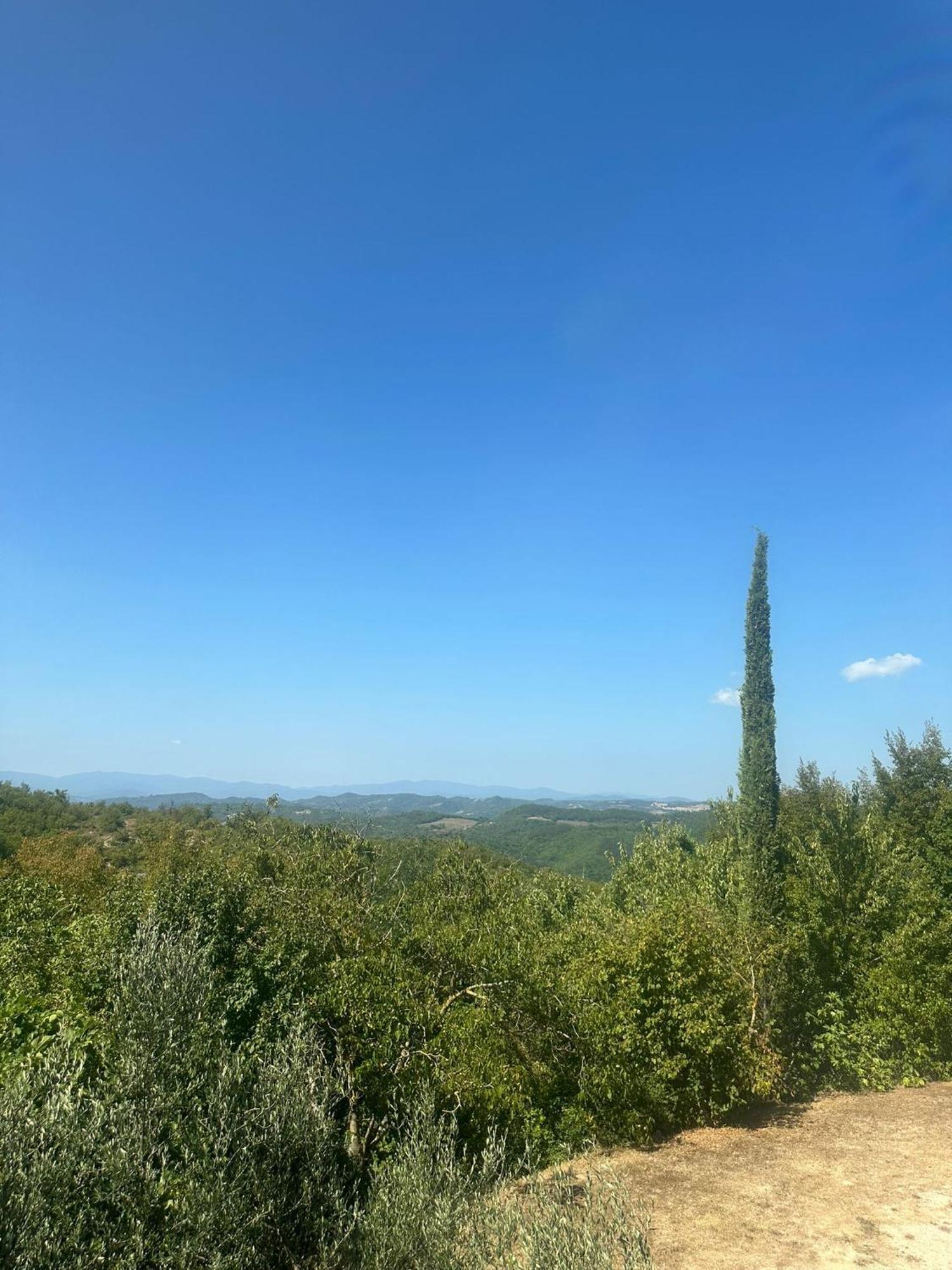 La Fonte B&B Pietralunga  Exteriér fotografie