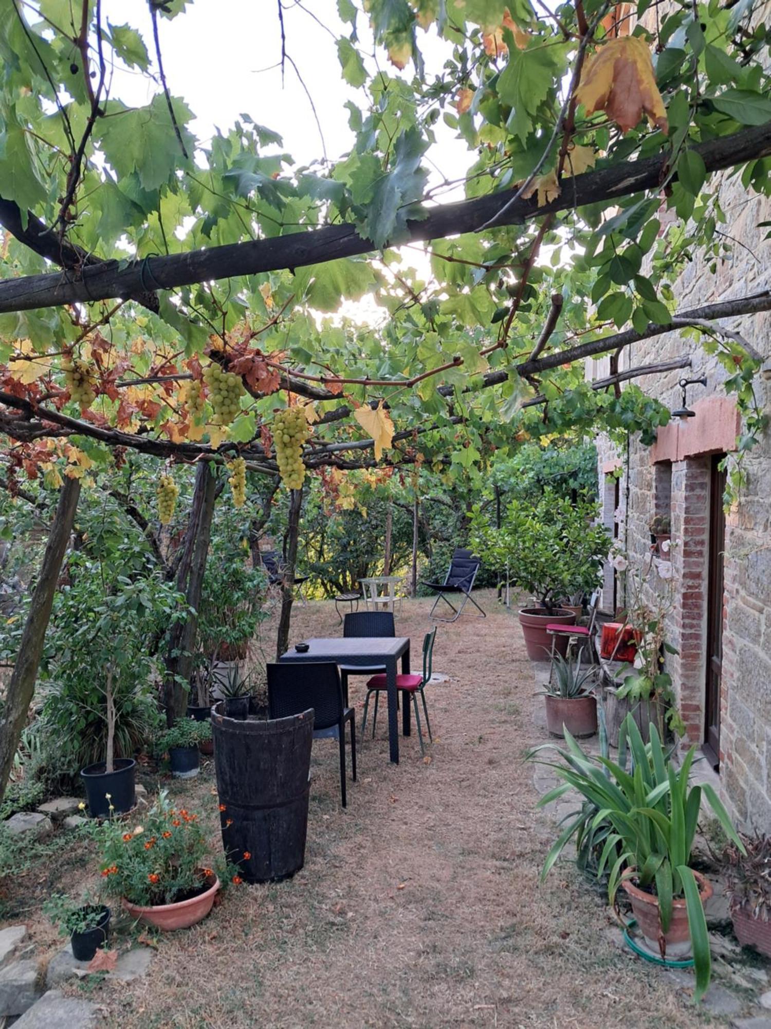 La Fonte B&B Pietralunga  Exteriér fotografie
